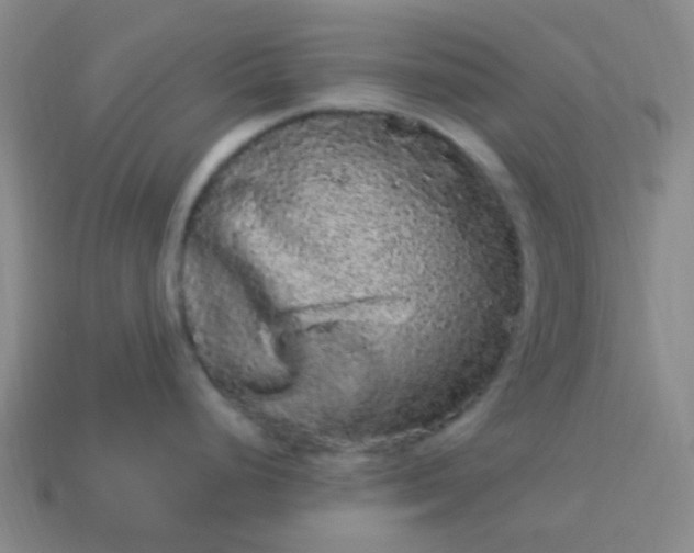 X0000114121248200910191716