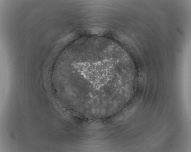 X0000114121249200910191716