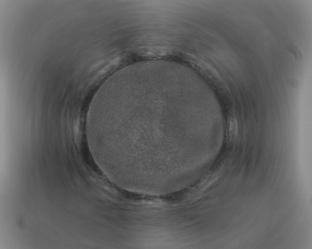 X0000114121250200910191716