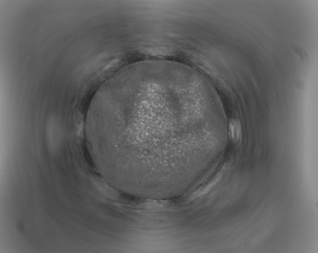 X0000114121251200910191716