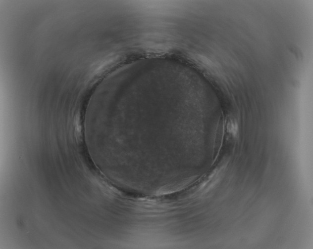 X0000114121252200910191716