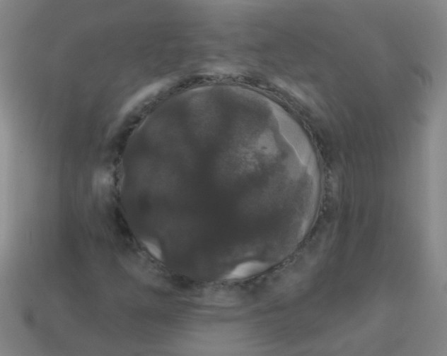 X0000114121254200910191716