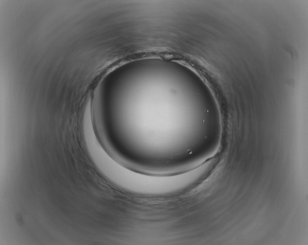 X0000114121257200910191716