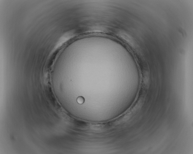 X0000114121258200910191716