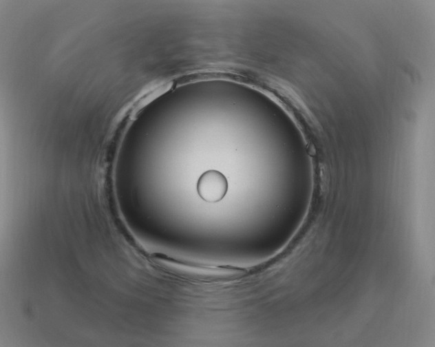 X0000114121260200910191716