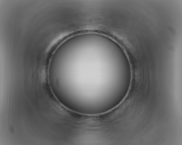 X0000114121262200910191716