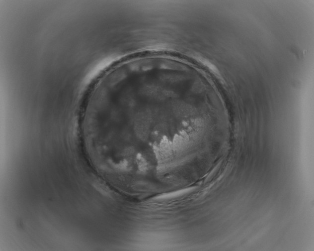 X0000114121263200910191716