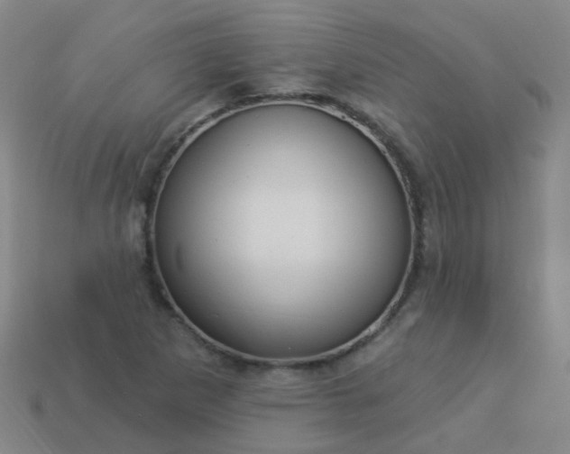 X0000114121265200910191716