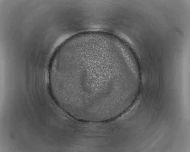 X0000114121267200910191716