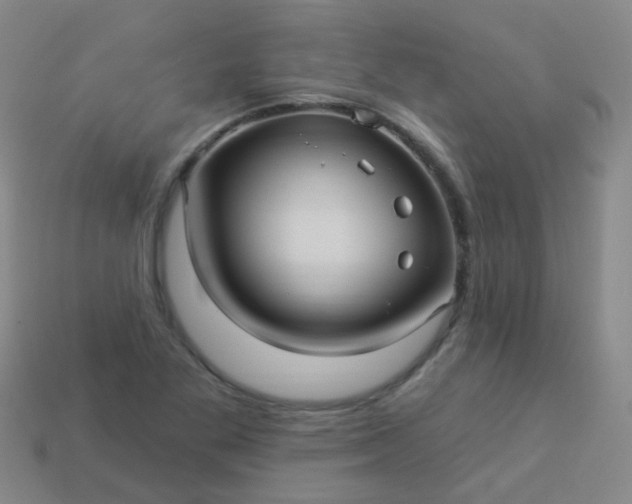 X0000114121269200910191716