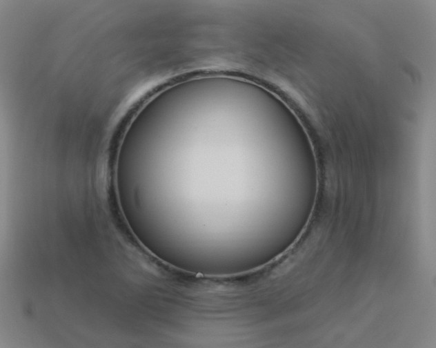 X0000114121270200910191716