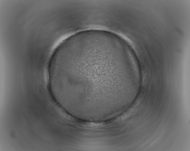 X0000114121271200910191716