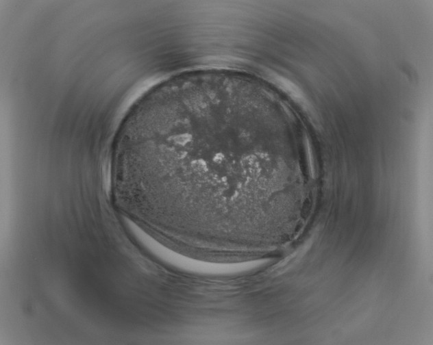 X0000114121275200910191716