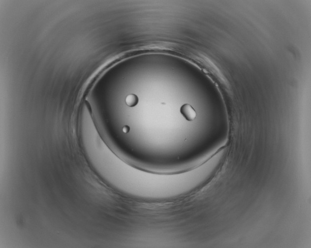 X0000114121276200910191716