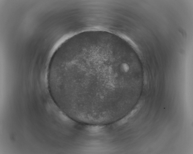 X0000114121278200910191715