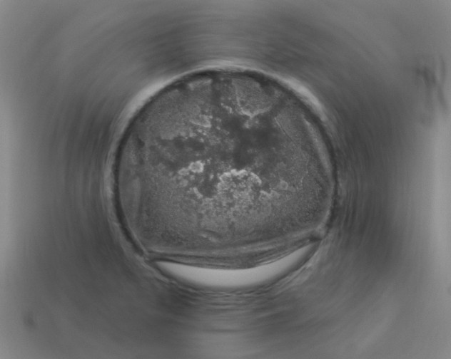 X0000114121279200910191715