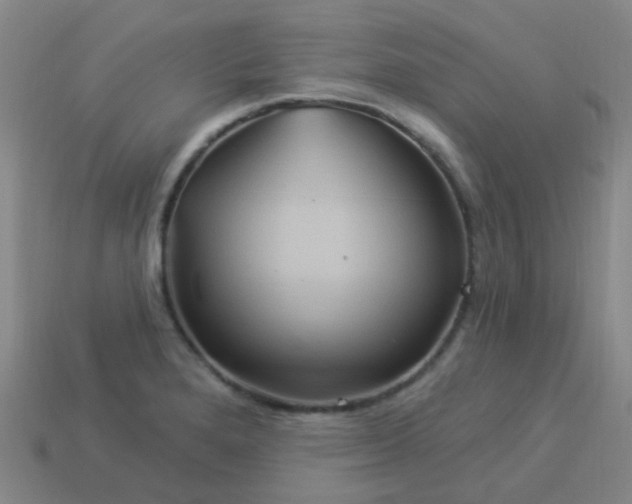 X0000114121280200910191715