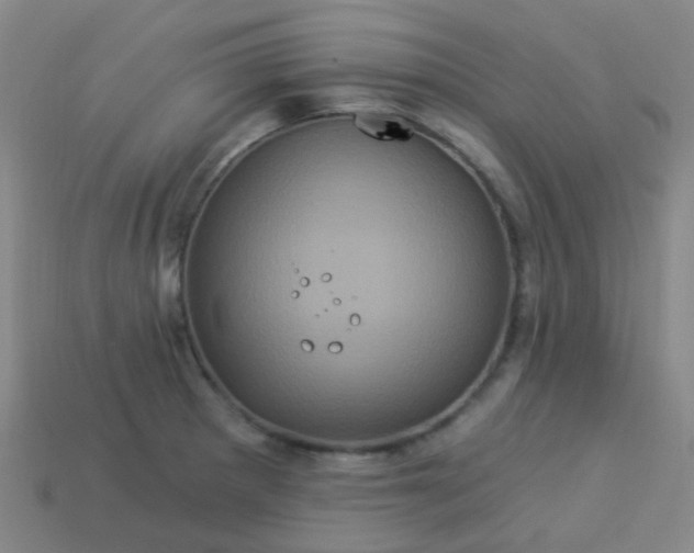 X0000114121281200910191715