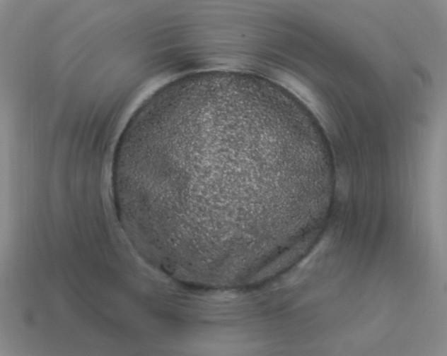 X0000114121283200910191715