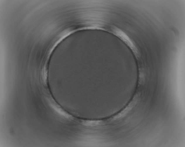 X0000114121284200910191715