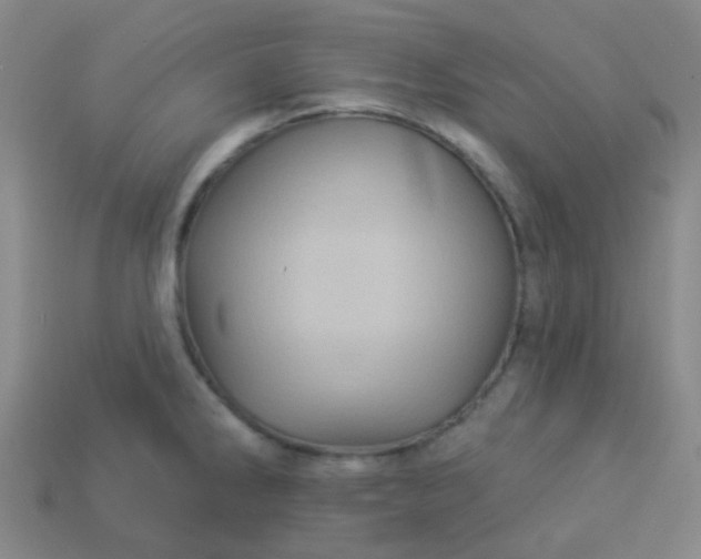 X0000114121286200910191715