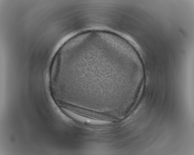 X0000114121287200910191715