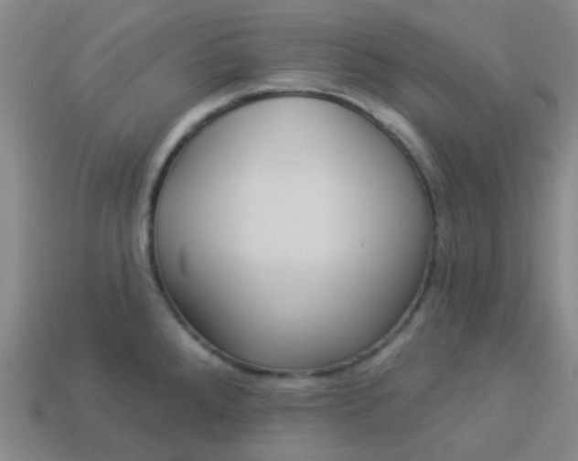 X0000114121288200910191715