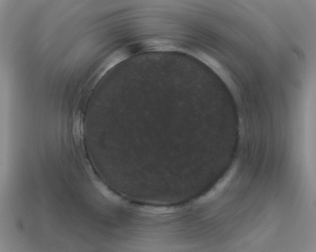 X0000114121289200910191715