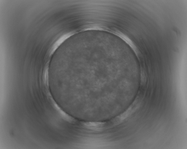 X0000114121290200910191715