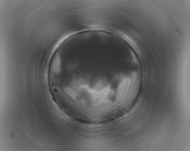 X0000114121291200910191715