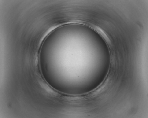 X0000114121292200910191715