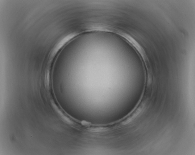 X0000114121293200910191715