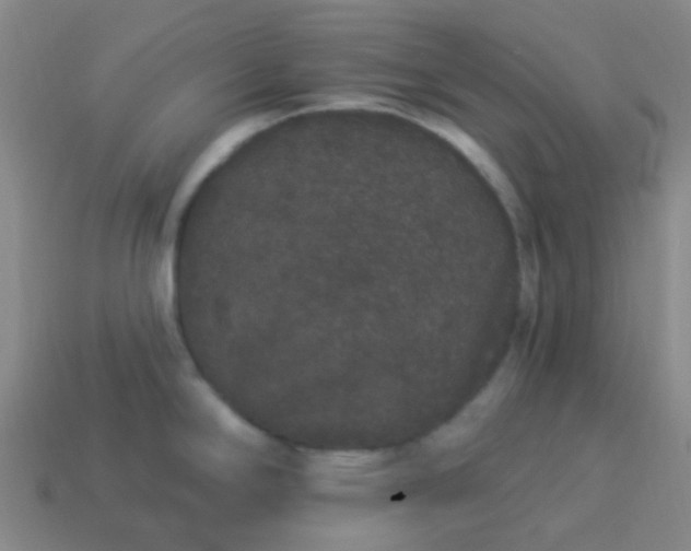 X0000114121294200910191715