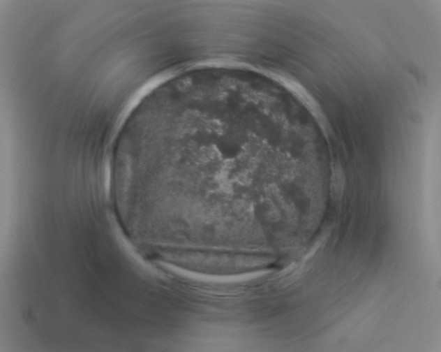 X0000114121295200910191715