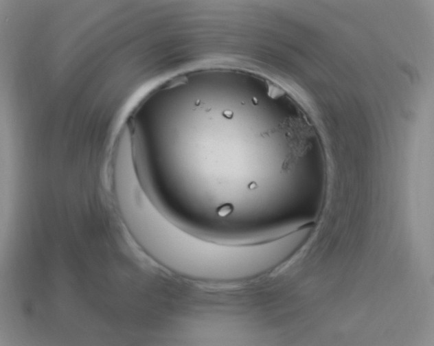 X0000114121296200910191715