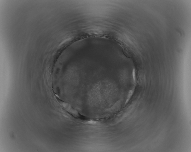 X0000114121297200910191715