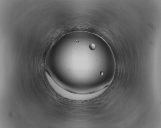 X0000114121298200910191715