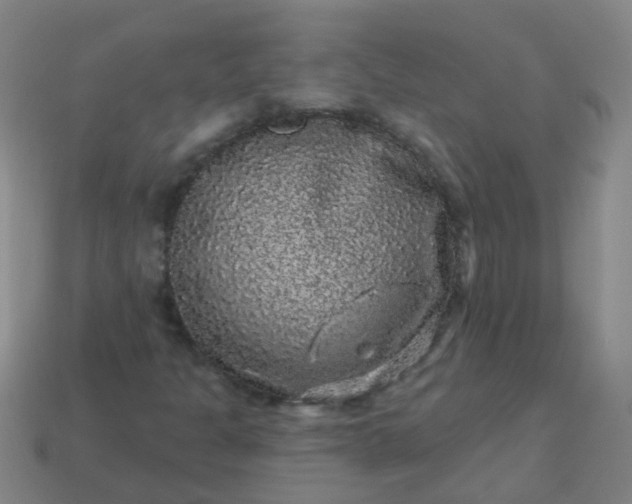 X0000114121301200910191715