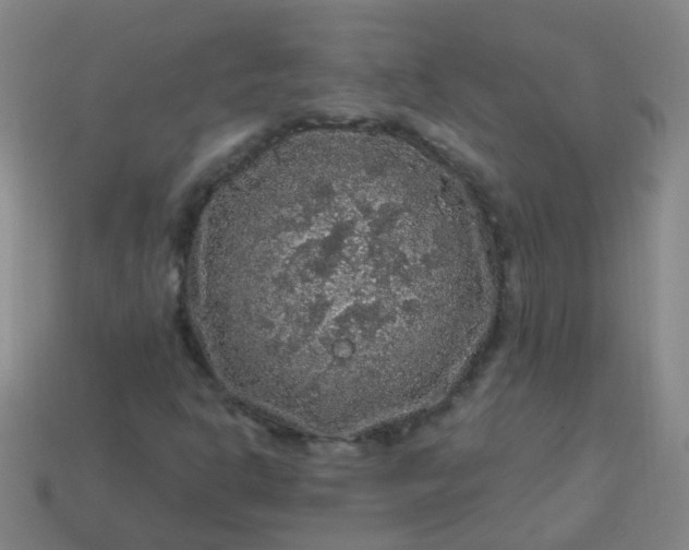 X0000114121302200910191715