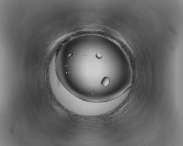 X0000114121304200910191715