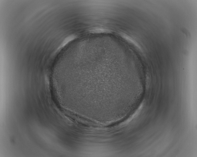 X0000114121305200910191715