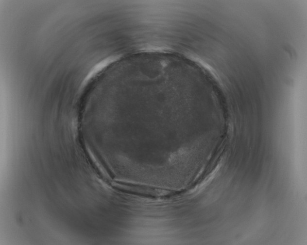 X0000114121306200910191715