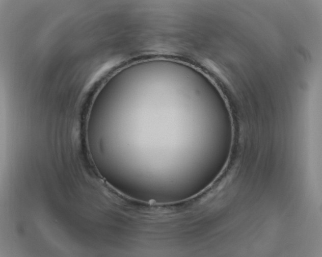 X0000114121307200910191715