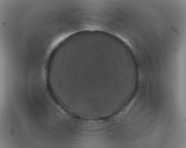 X0000114121311200910191715