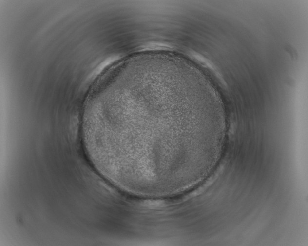 X0000114121313200910191715