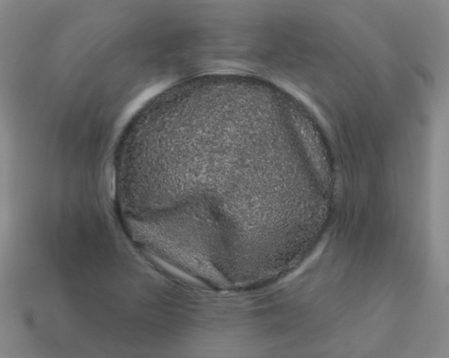 X0000114121317200910191715