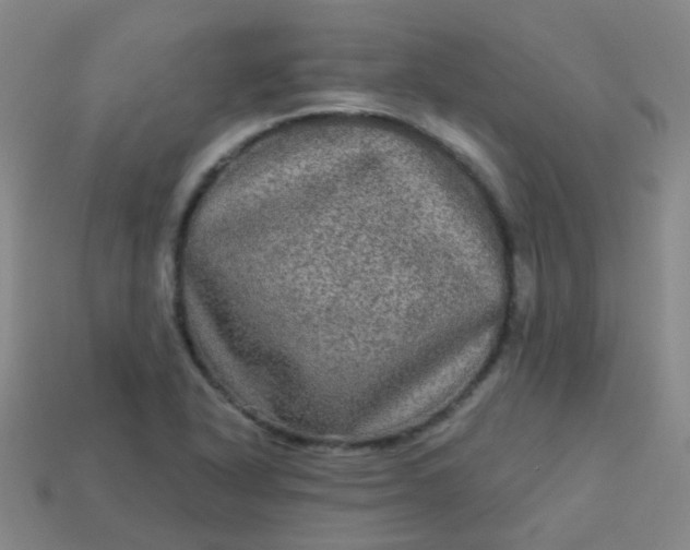 X0000114121318200910191715