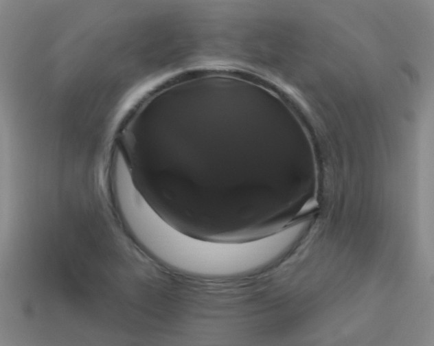 X0000114121319200910191715