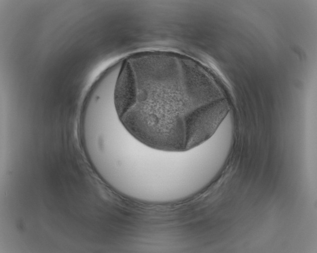 X0000114121320200910191715