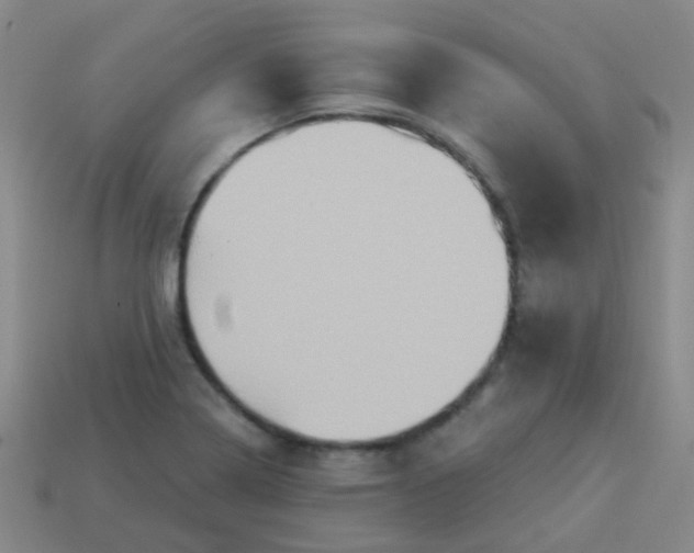 X0000114121322200910191715